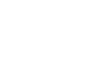salurnis-logo-white